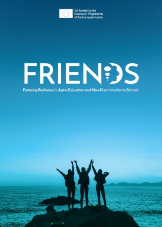 Friends report of implementation cover
