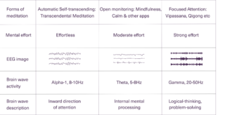MFI Miscellaneous science grid EEG meditation comparison