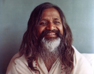 Maharishi Free